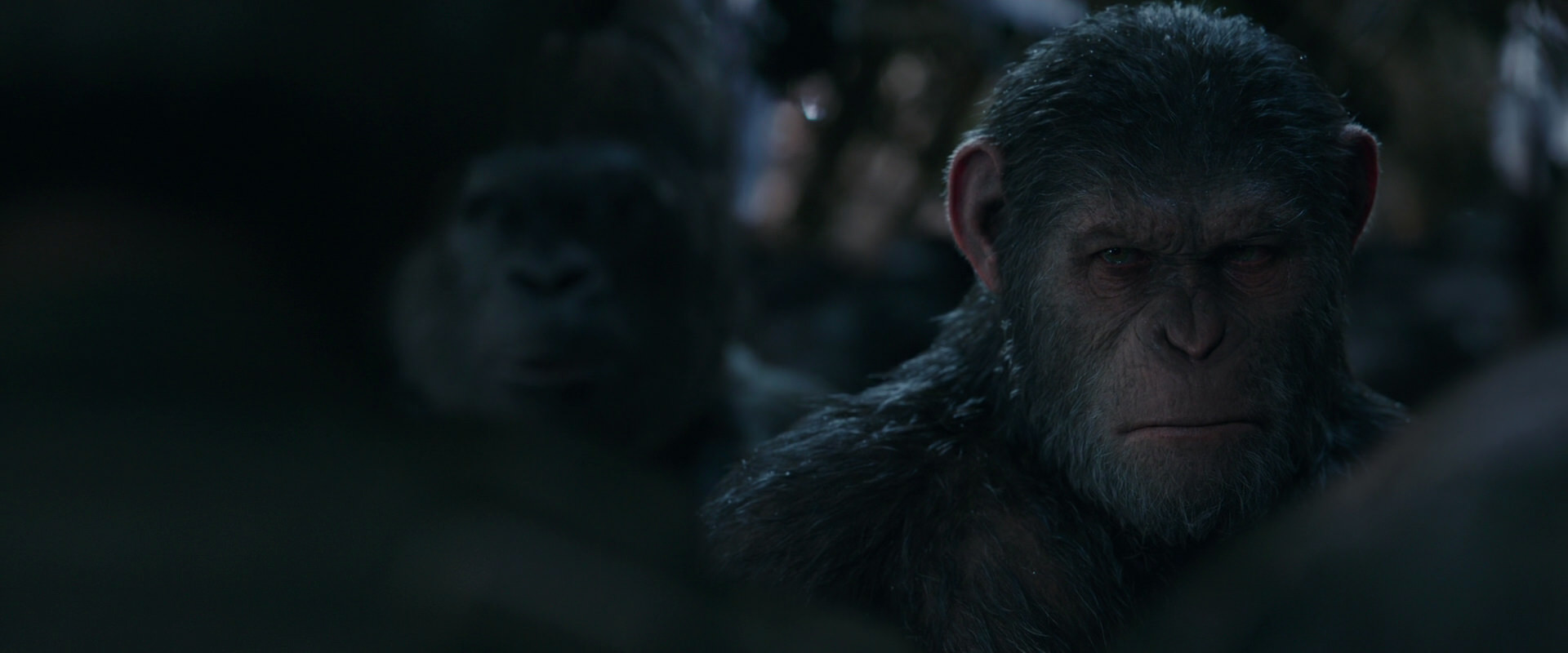 War for the Planet of the Apes (2017) HD screenshot 929
