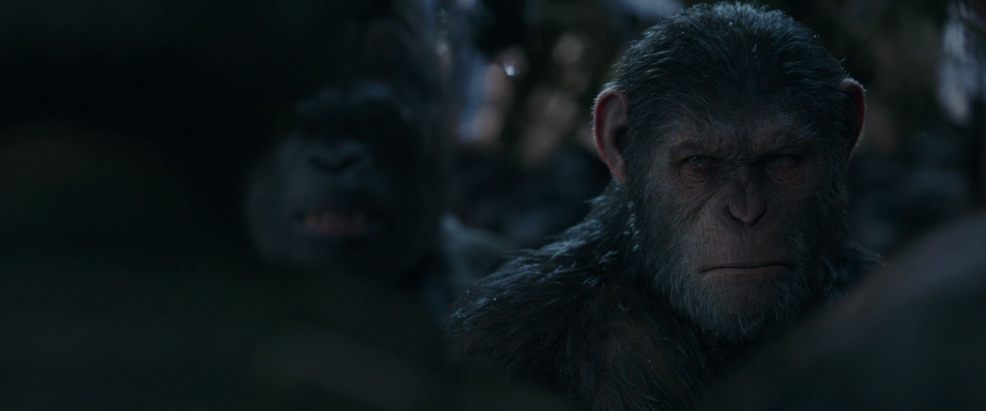 War for the Planet of the Apes (2017) screencap 930