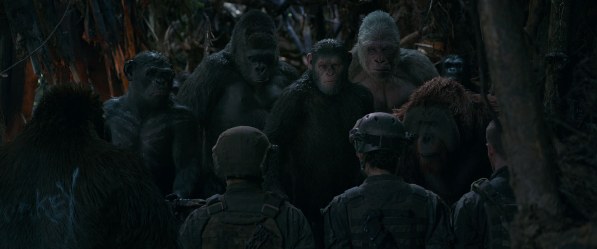War for the Planet of the Apes (2017) movie still 937