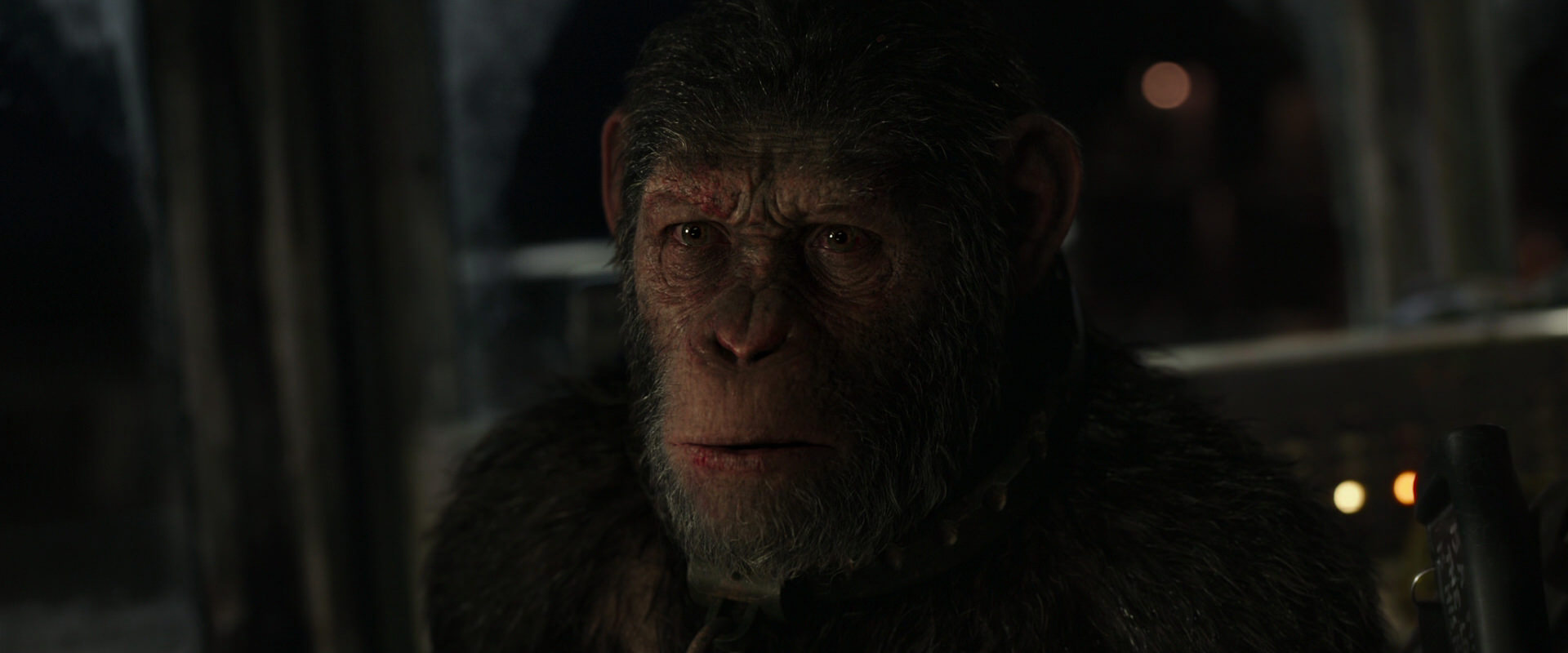War for the Planet of the Apes (2017) HD screenshot 9377