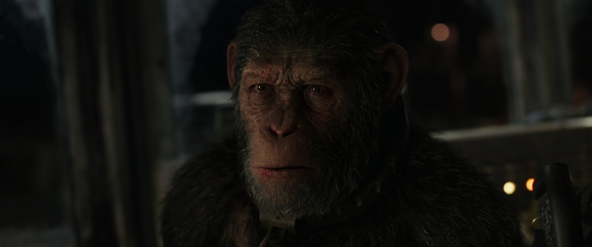 War for the Planet of the Apes (2017) screencap 9378