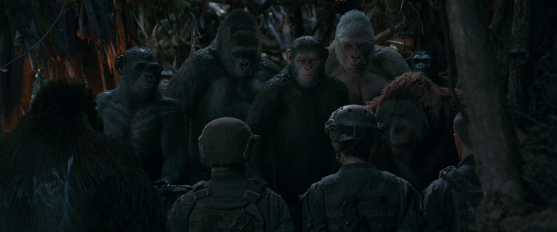 War for the Planet of the Apes (2017) HD screenshot 938
