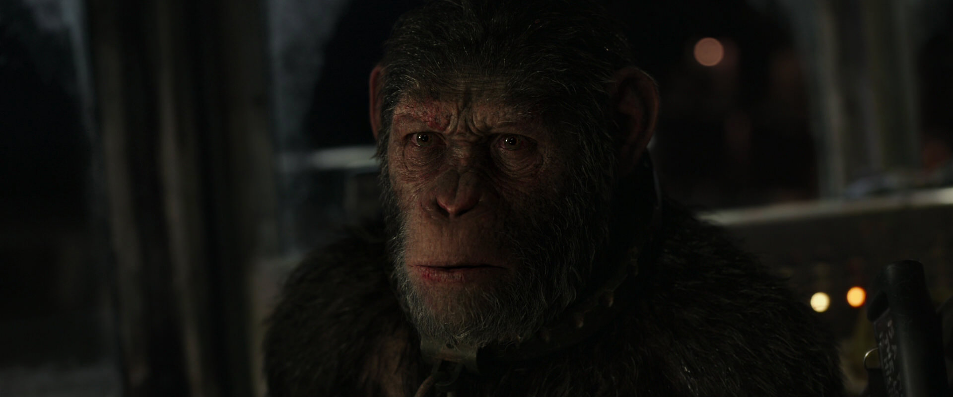 War for the Planet of the Apes (2017) screencap 9384