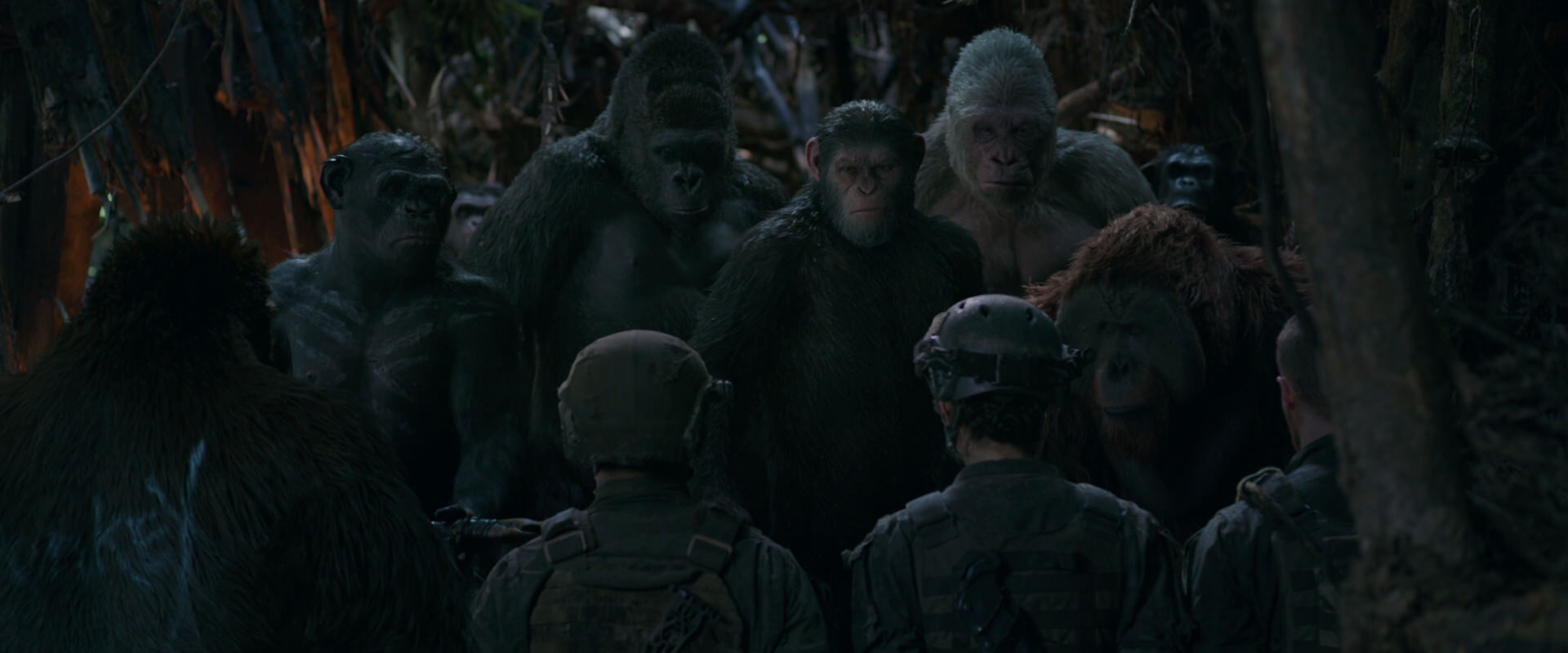 War for the Planet of the Apes (2017) screencap 939
