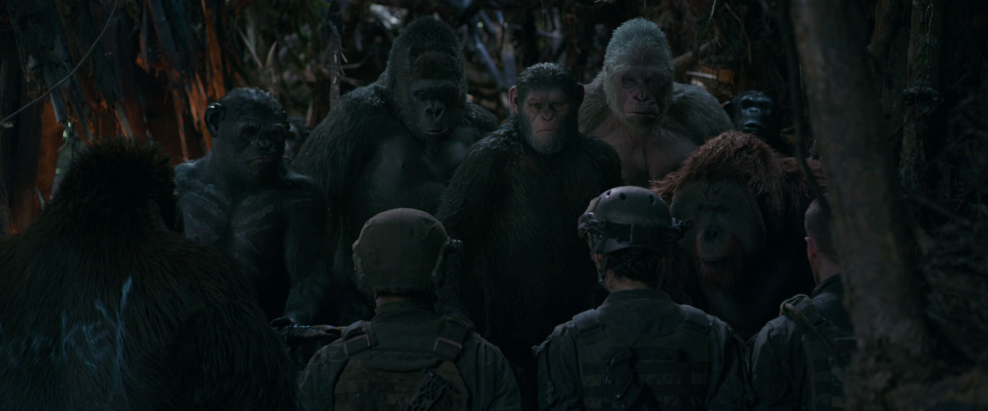 War for the Planet of the Apes (2017) screencap 942