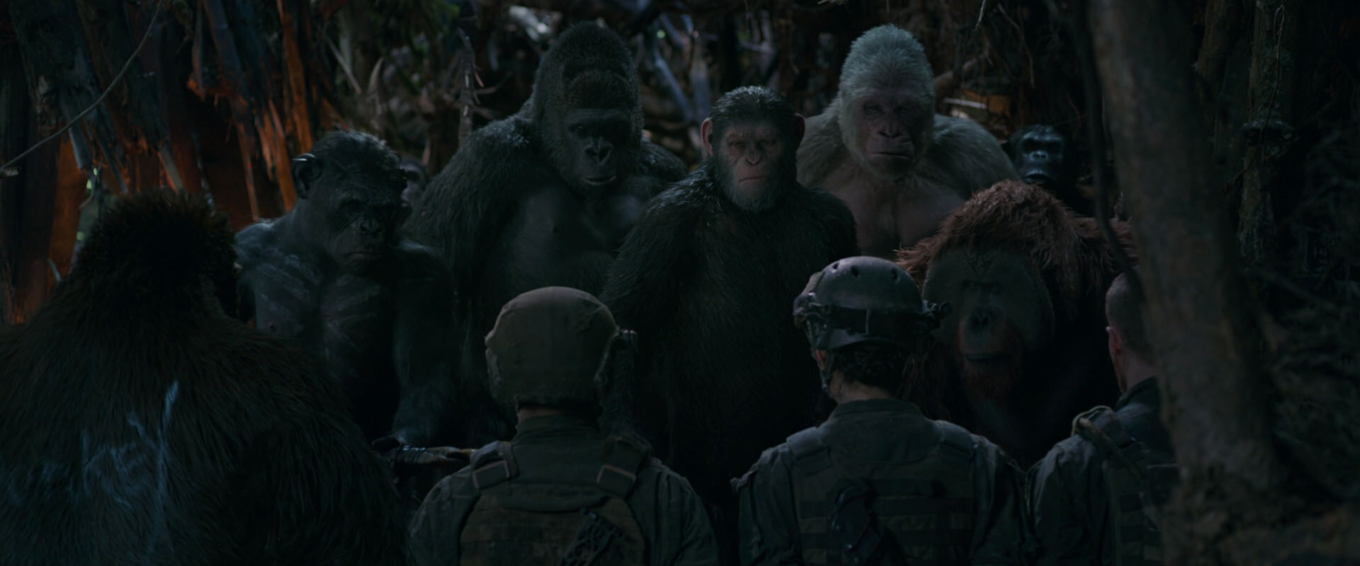 War for the Planet of the Apes (2017) movie still 943