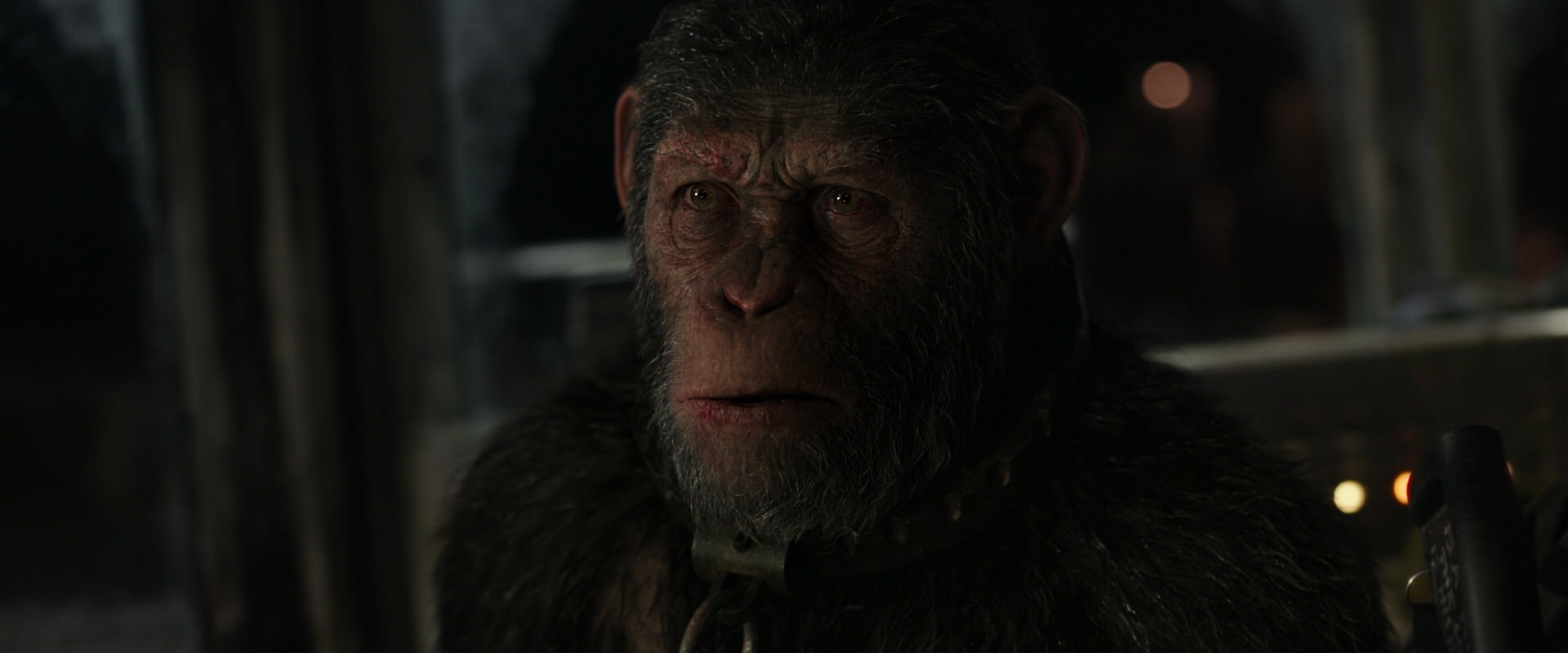 War for the Planet of the Apes (2017) movie still 9436