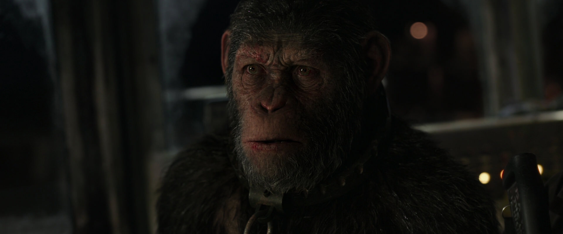 War for the Planet of the Apes (2017) HD screenshot 9437