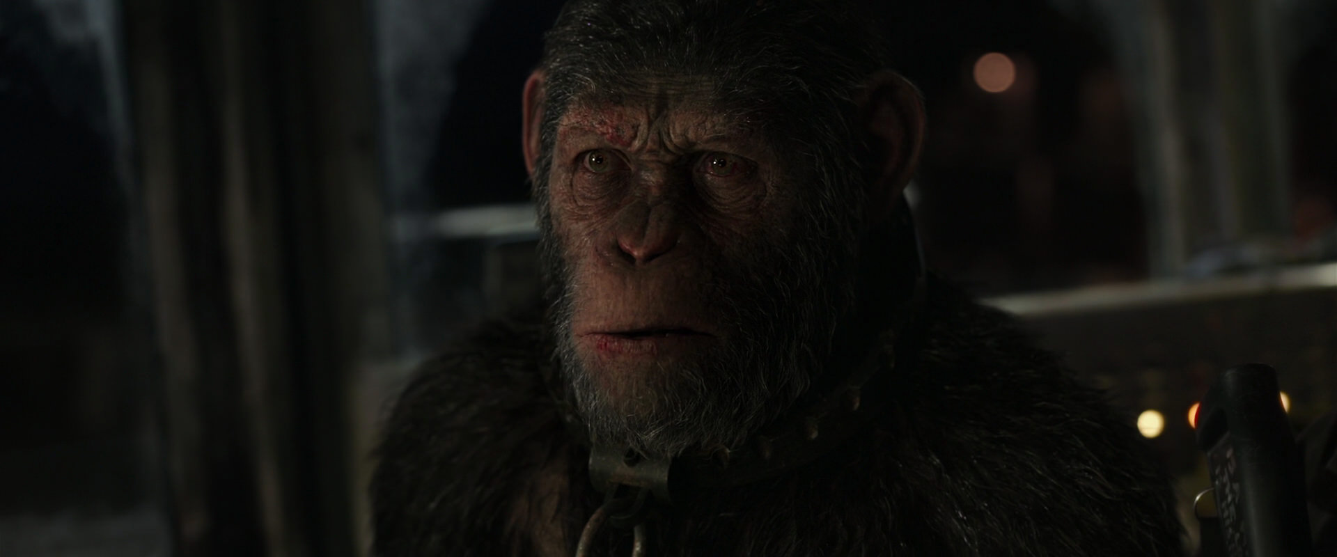 War for the Planet of the Apes (2017) screencap 9438