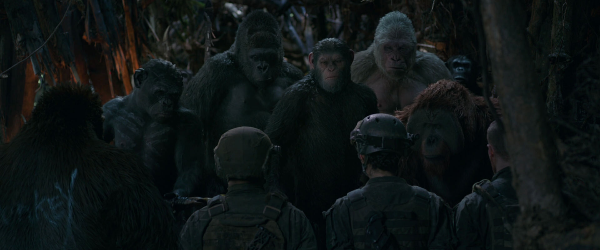 War for the Planet of the Apes (2017) HD screenshot 944