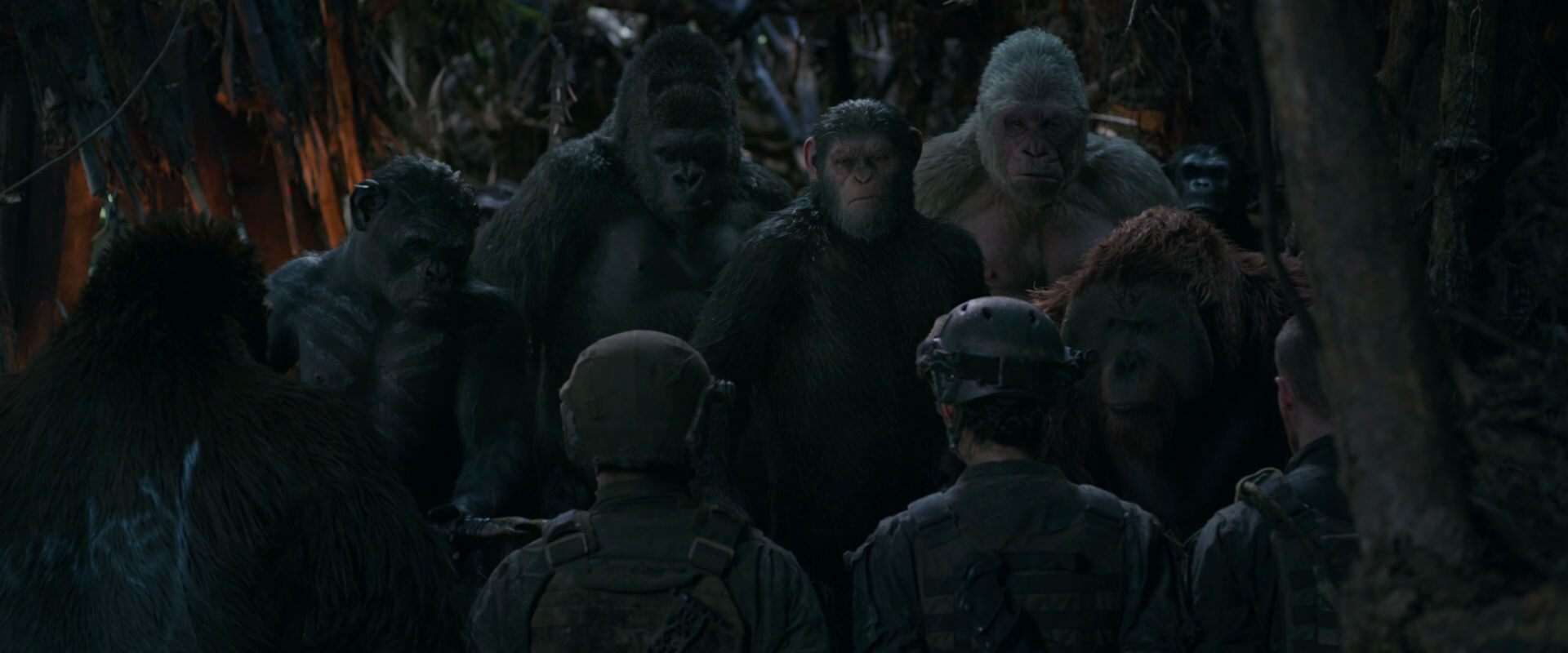 War for the Planet of the Apes (2017) screencap 945
