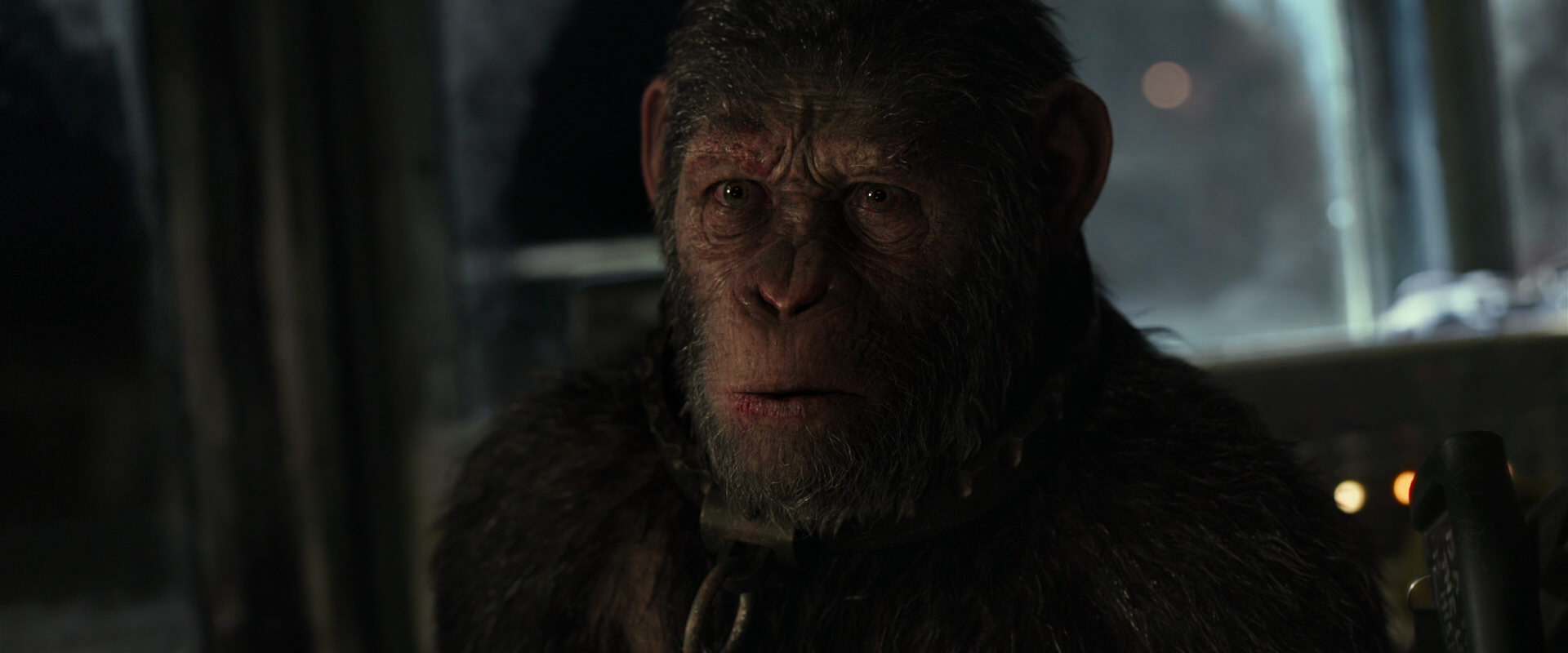 War for the Planet of the Apes (2017) screencap 9456