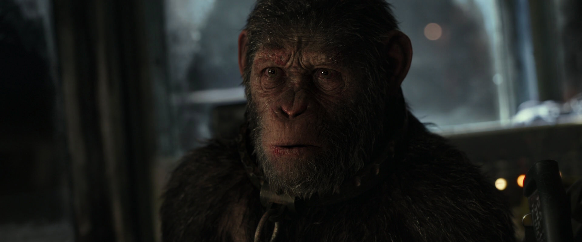 War for the Planet of the Apes (2017) movie still 9457