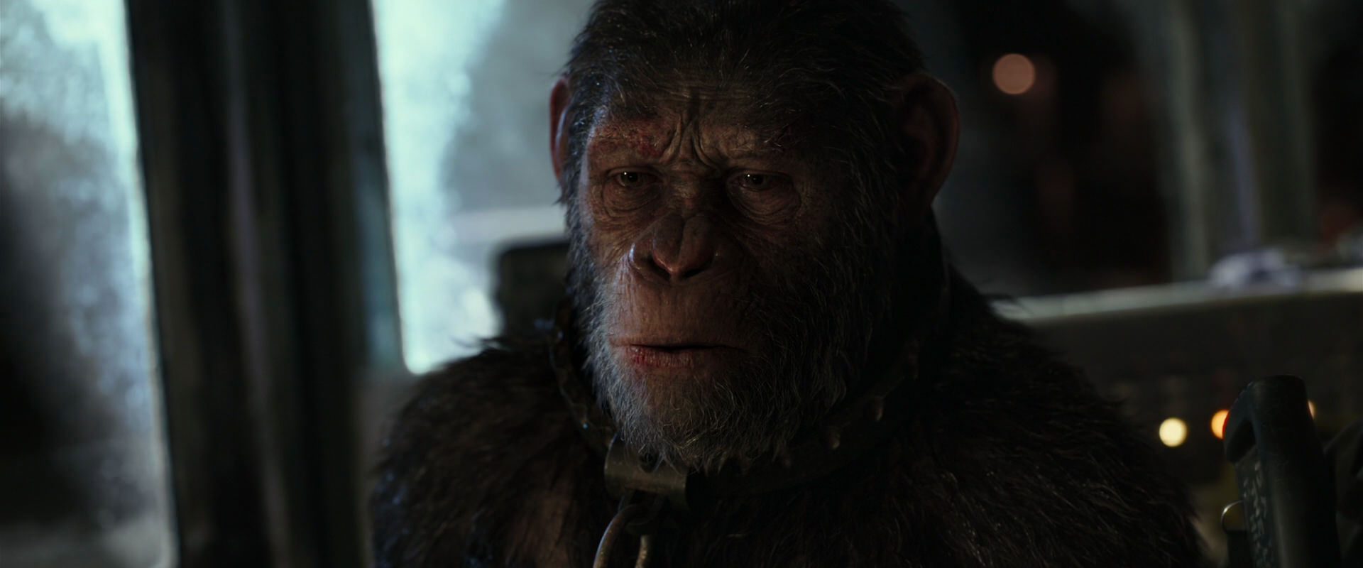 War for the Planet of the Apes (2017) screencap 9459
