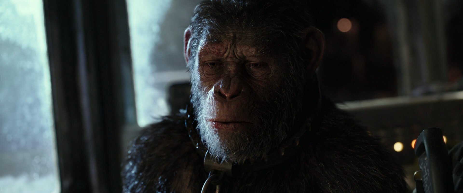 War for the Planet of the Apes (2017) movie still 9460