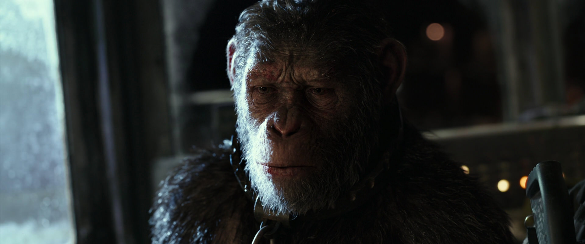 War for the Planet of the Apes (2017) screencap 9462