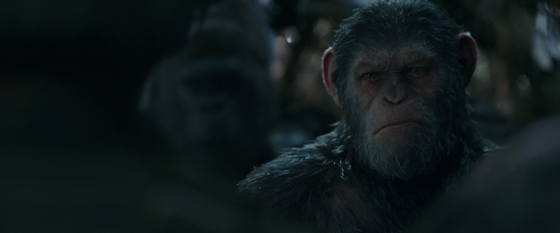 War for the Planet of the Apes (2017) movie still 952