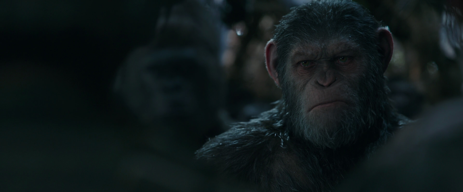 War for the Planet of the Apes (2017) screencap 954