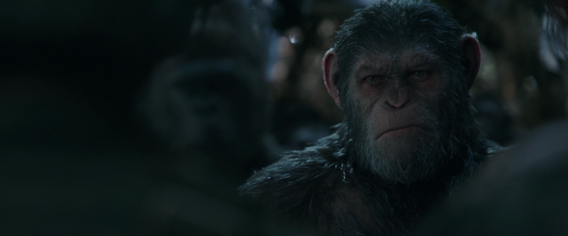 War for the Planet of the Apes (2017) movie still 955