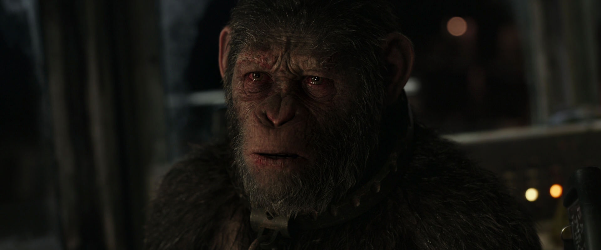 War for the Planet of the Apes (2017) screencap 9573