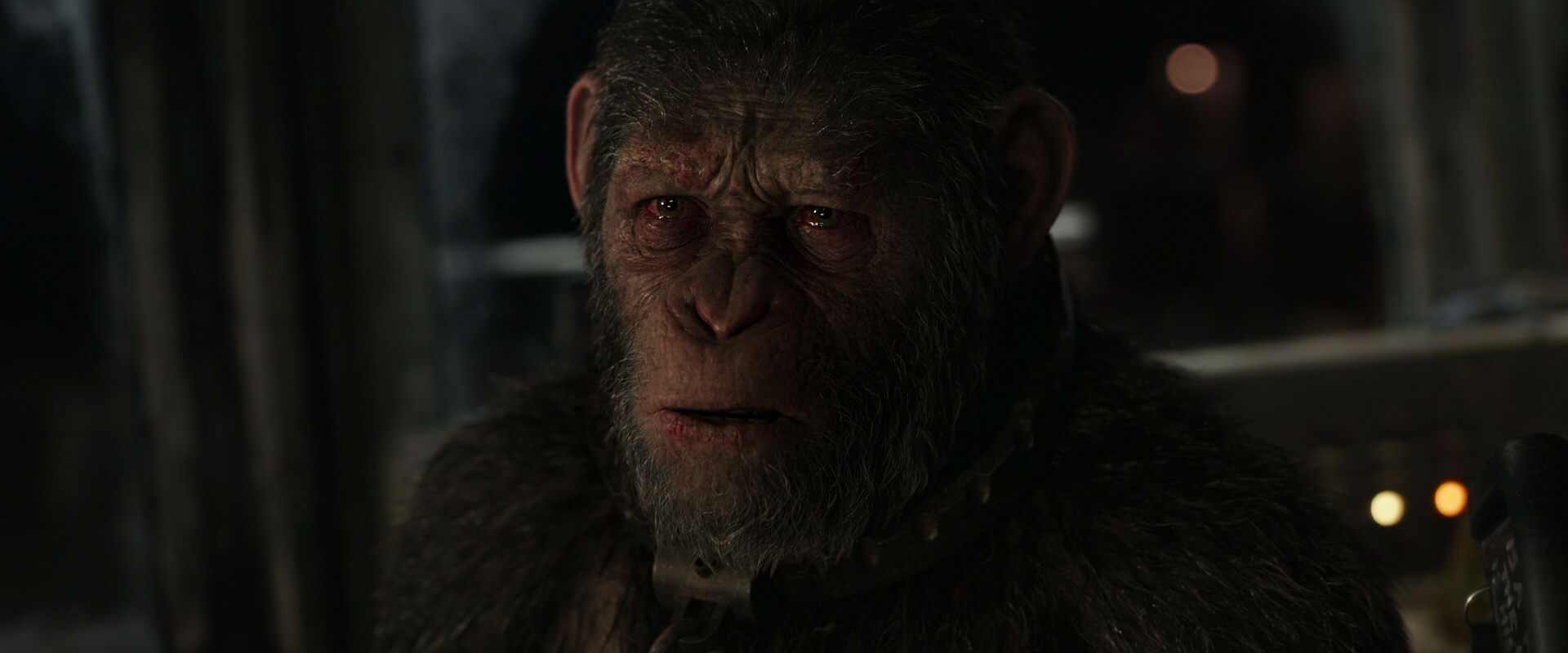 War for the Planet of the Apes (2017) movie still 9574