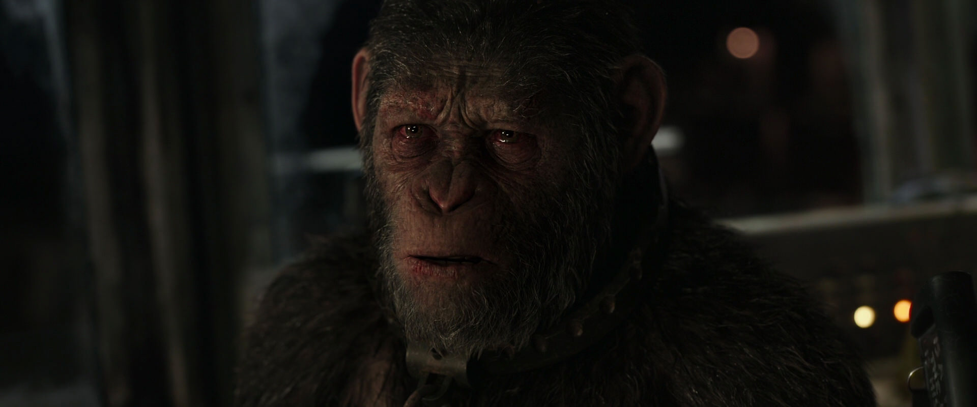 War for the Planet of the Apes (2017) screencap 9576