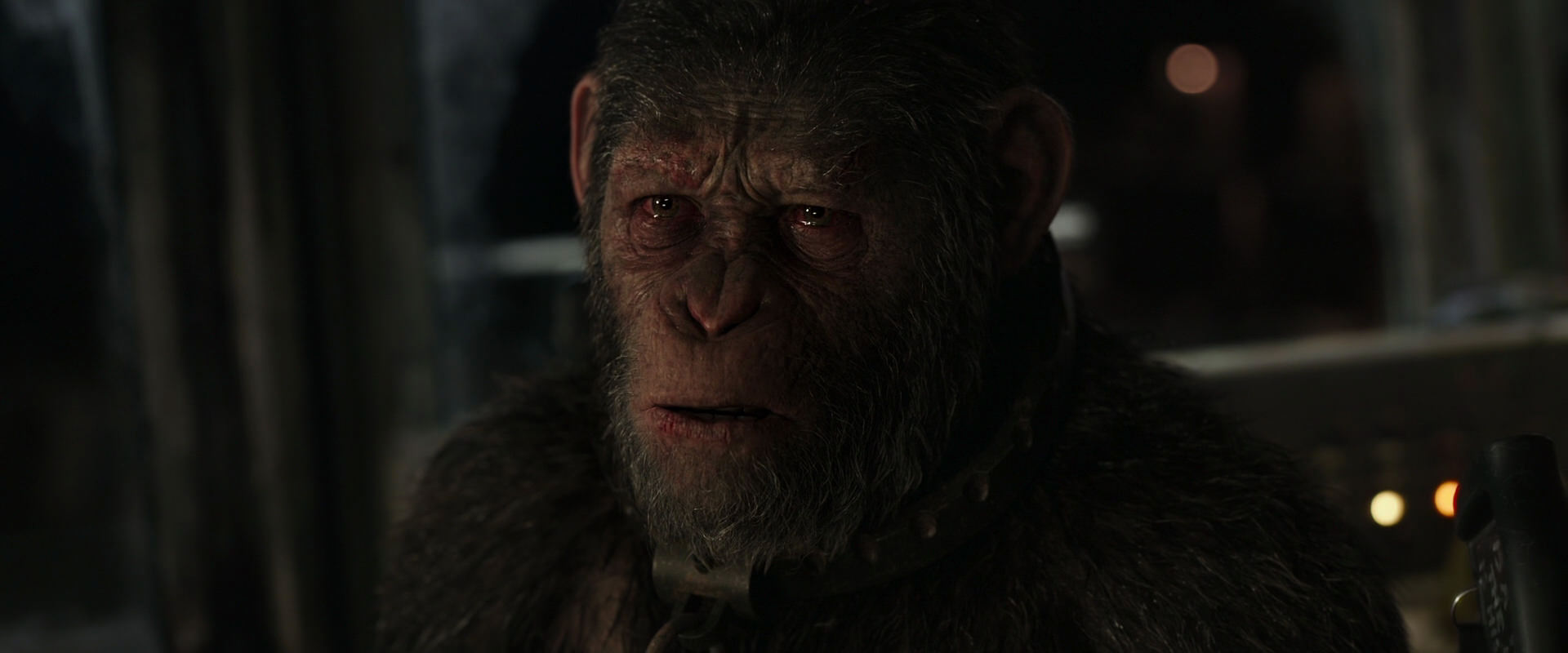 War for the Planet of the Apes (2017) movie still 9577