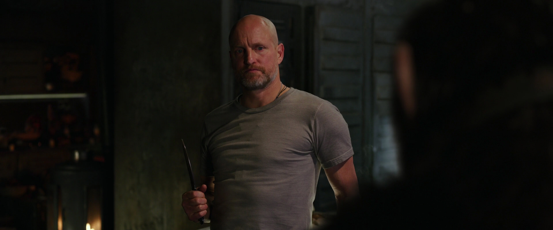 War for the Planet of the Apes (2017) screencap 9579