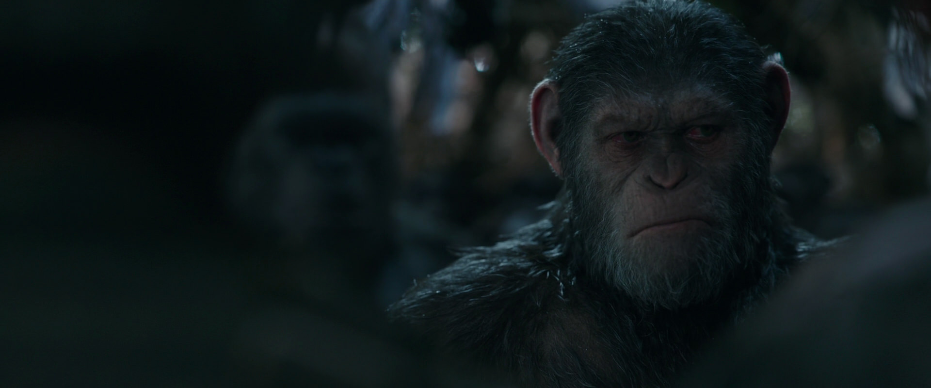 War for the Planet of the Apes (2017) movie still 958