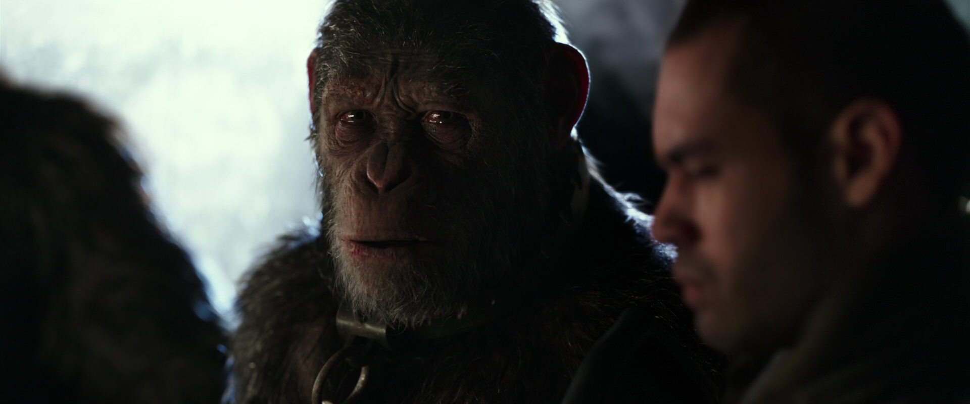 War for the Planet of the Apes (2017) HD screenshot 9611