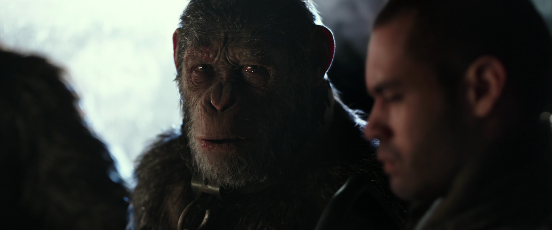 War for the Planet of the Apes (2017) screencap 9612