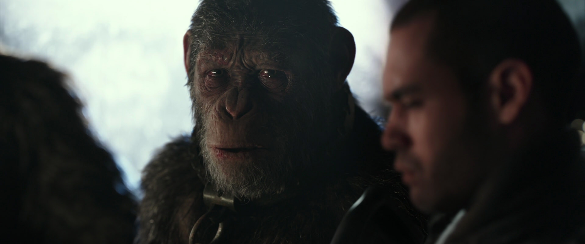 War for the Planet of the Apes (2017) movie still 9613