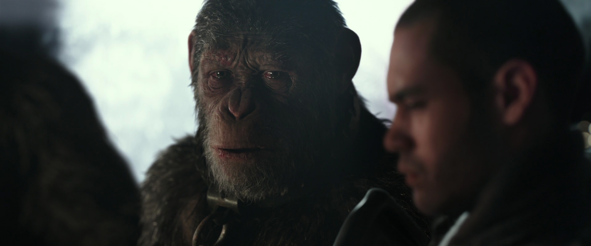 War for the Planet of the Apes (2017) HD screenshot 9614
