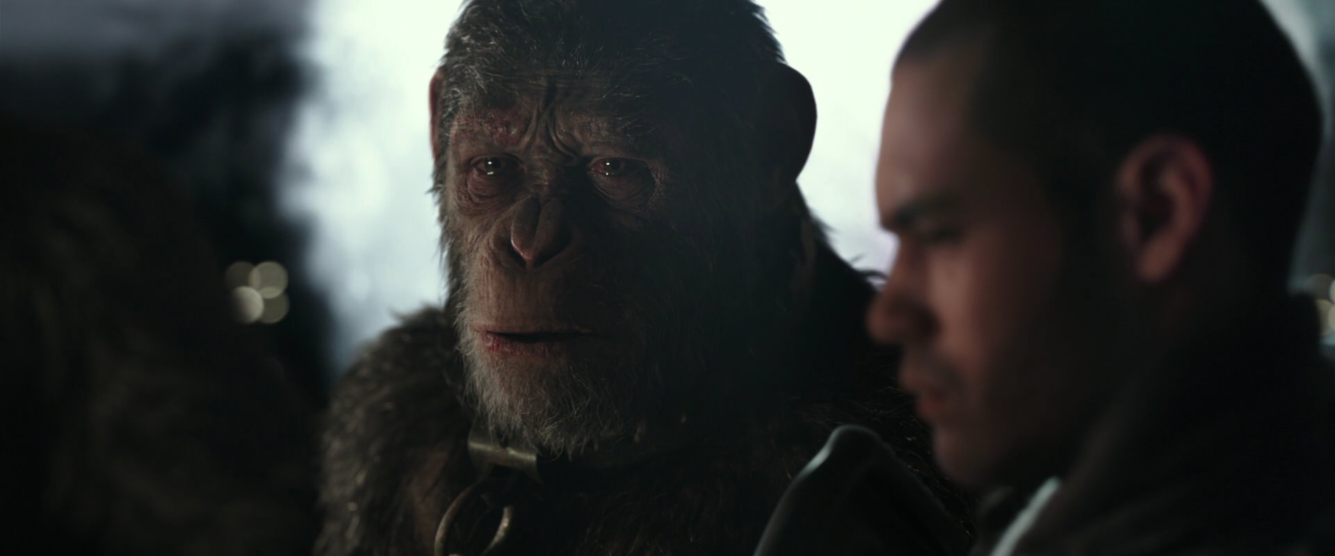 War for the Planet of the Apes (2017) screencap 9615