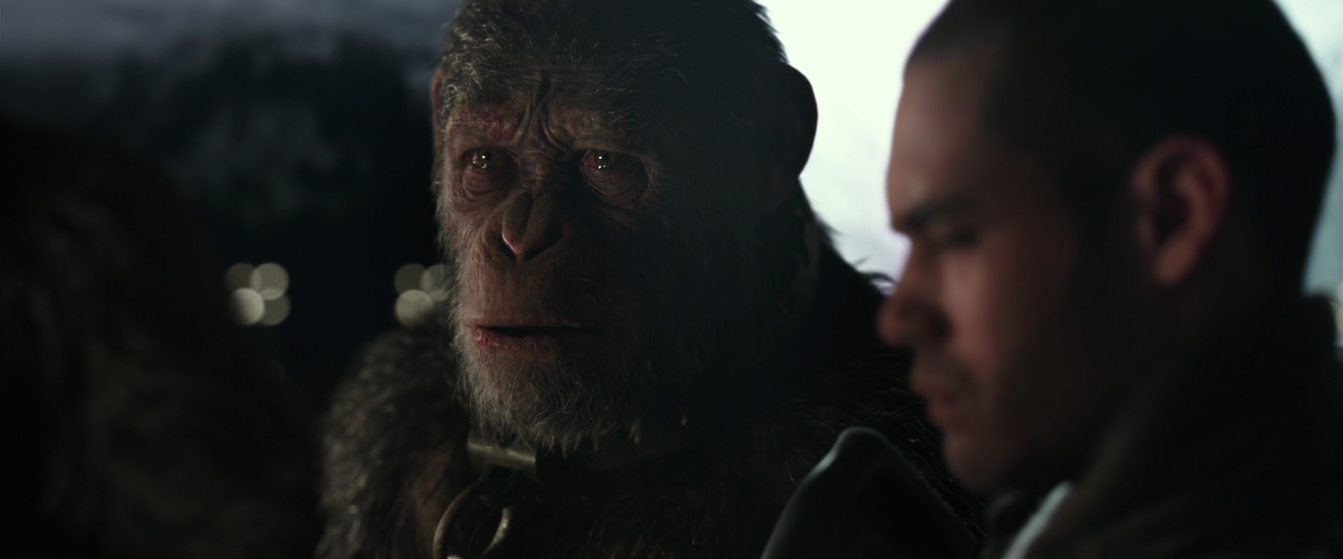 War for the Planet of the Apes (2017) movie still 9616