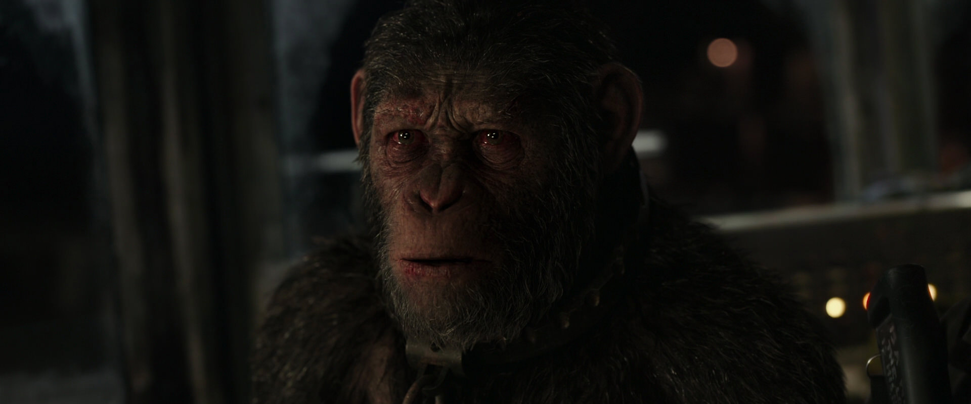 War for the Planet of the Apes (2017) movie still 9667