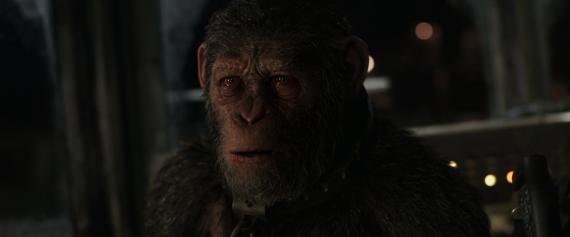 War for the Planet of the Apes (2017) screencap 9669