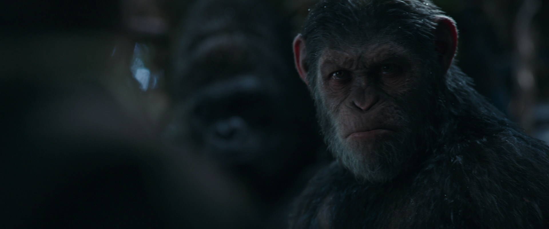 War for the Planet of the Apes (2017) movie still 967