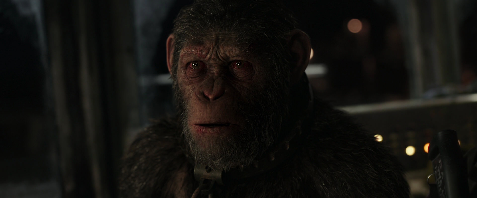 War for the Planet of the Apes (2017) HD screenshot 9671