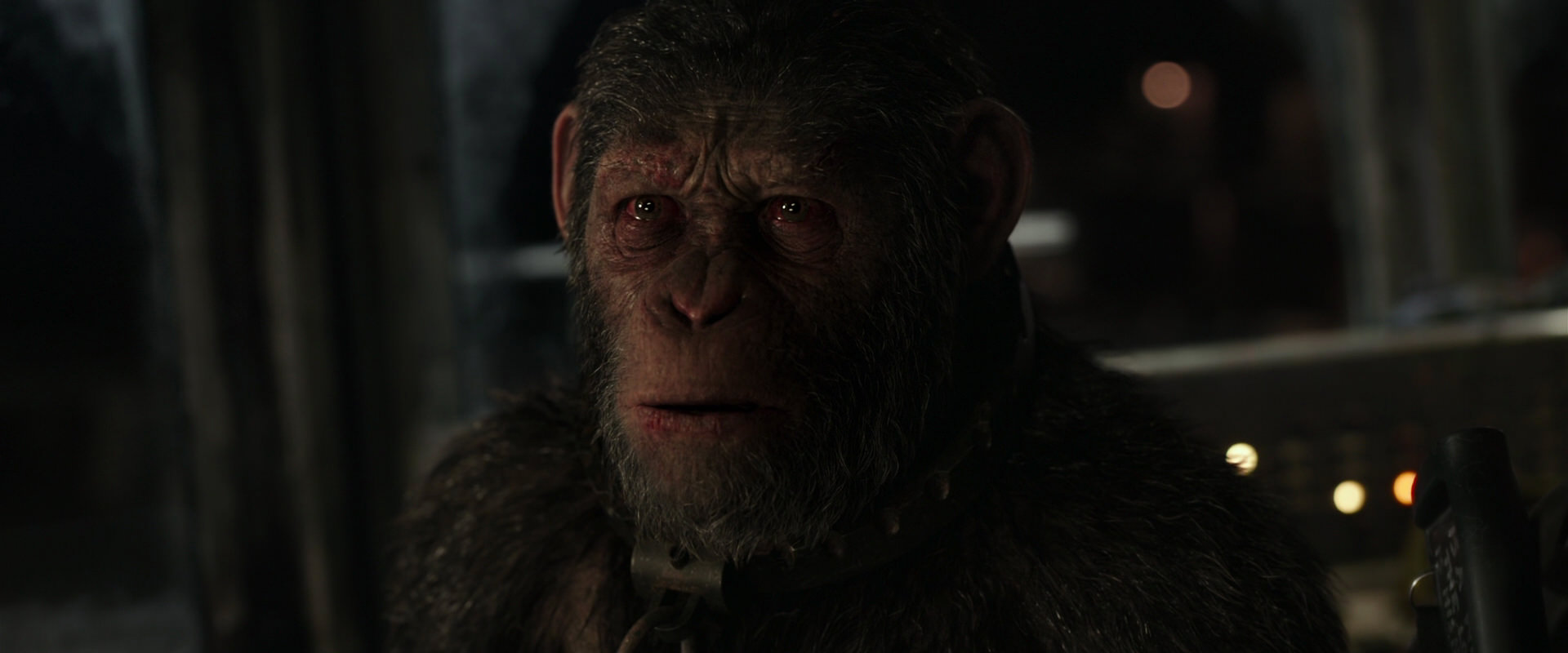 War for the Planet of the Apes (2017) screencap 9675