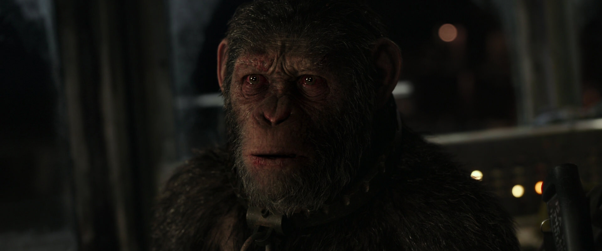 War for the Planet of the Apes (2017) movie still 9676