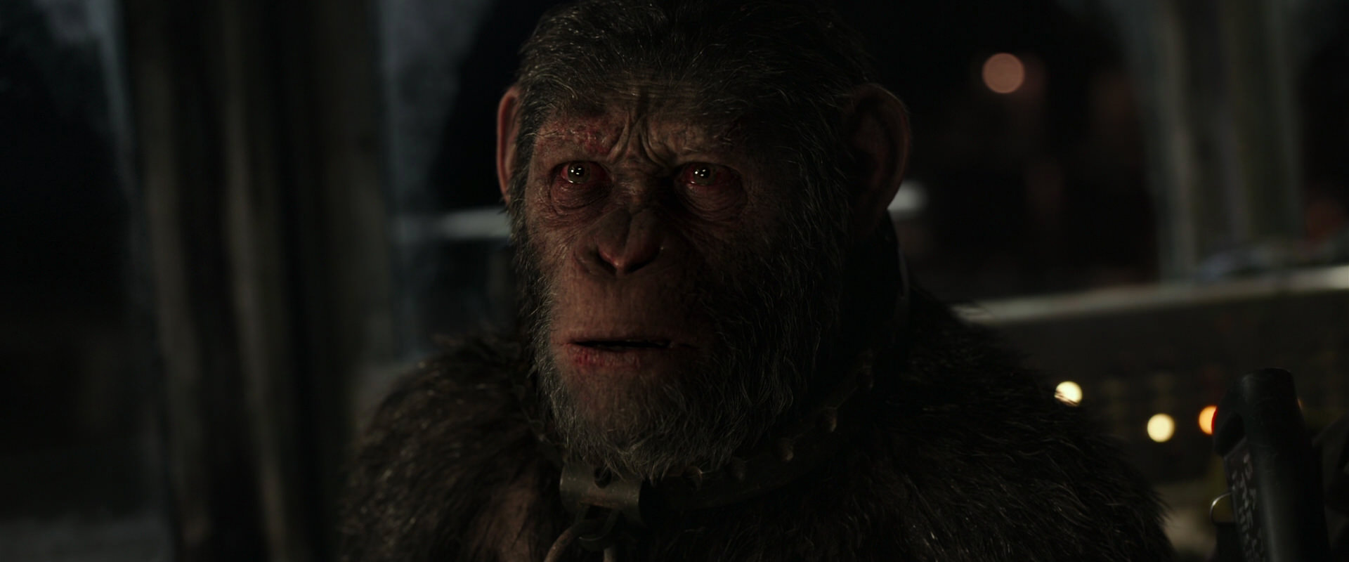 War for the Planet of the Apes (2017) screencap 9678
