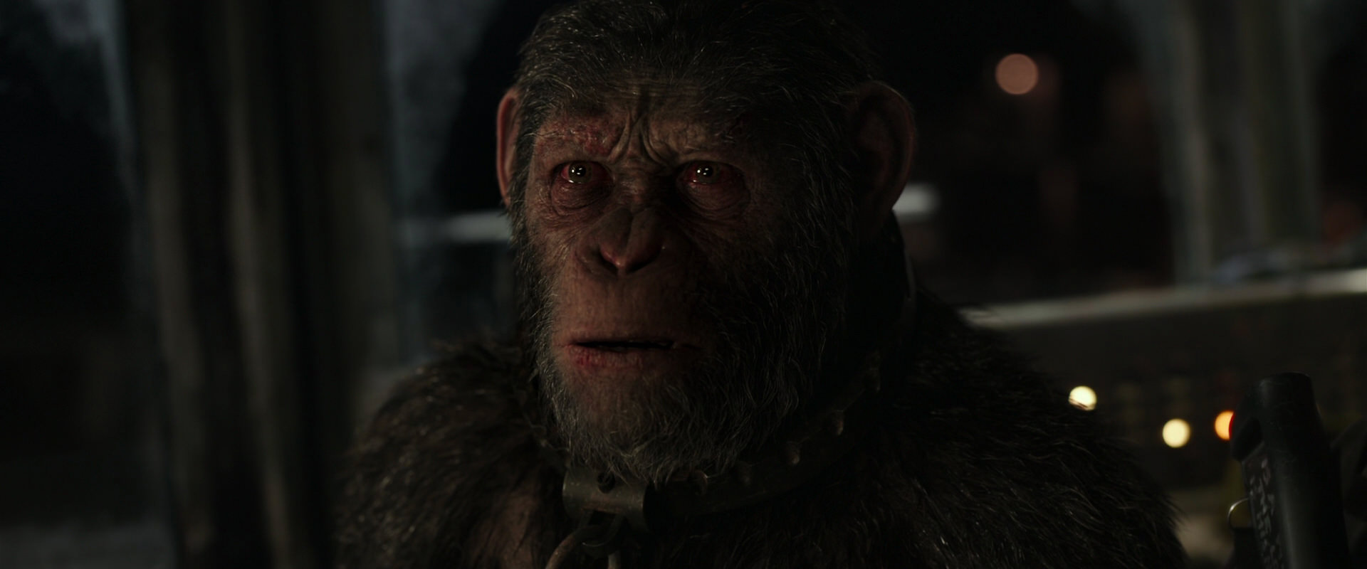 War for the Planet of the Apes (2017) movie still 9679