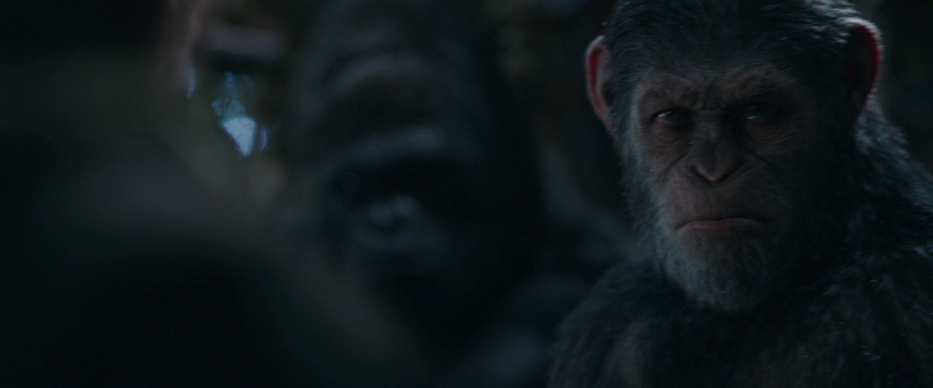 War for the Planet of the Apes (2017) HD screenshot 968
