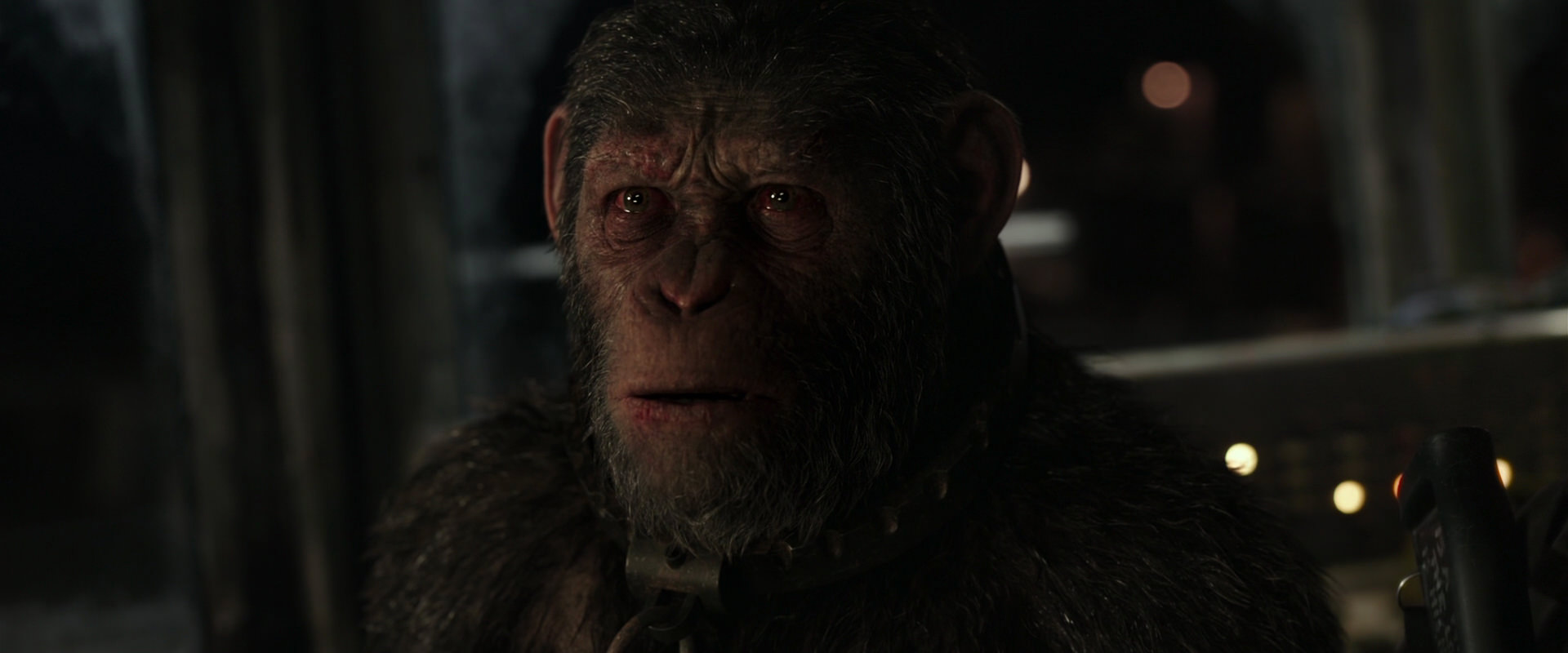 War for the Planet of the Apes (2017) screencap 9681