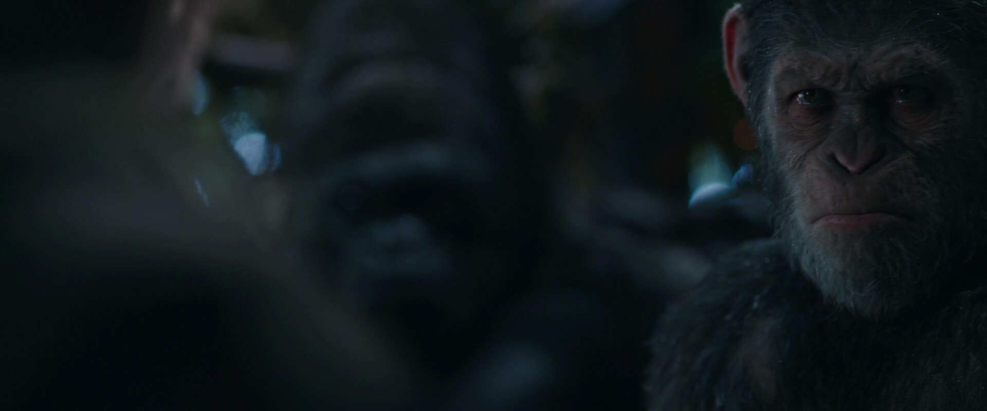 War for the Planet of the Apes (2017) screencap 969