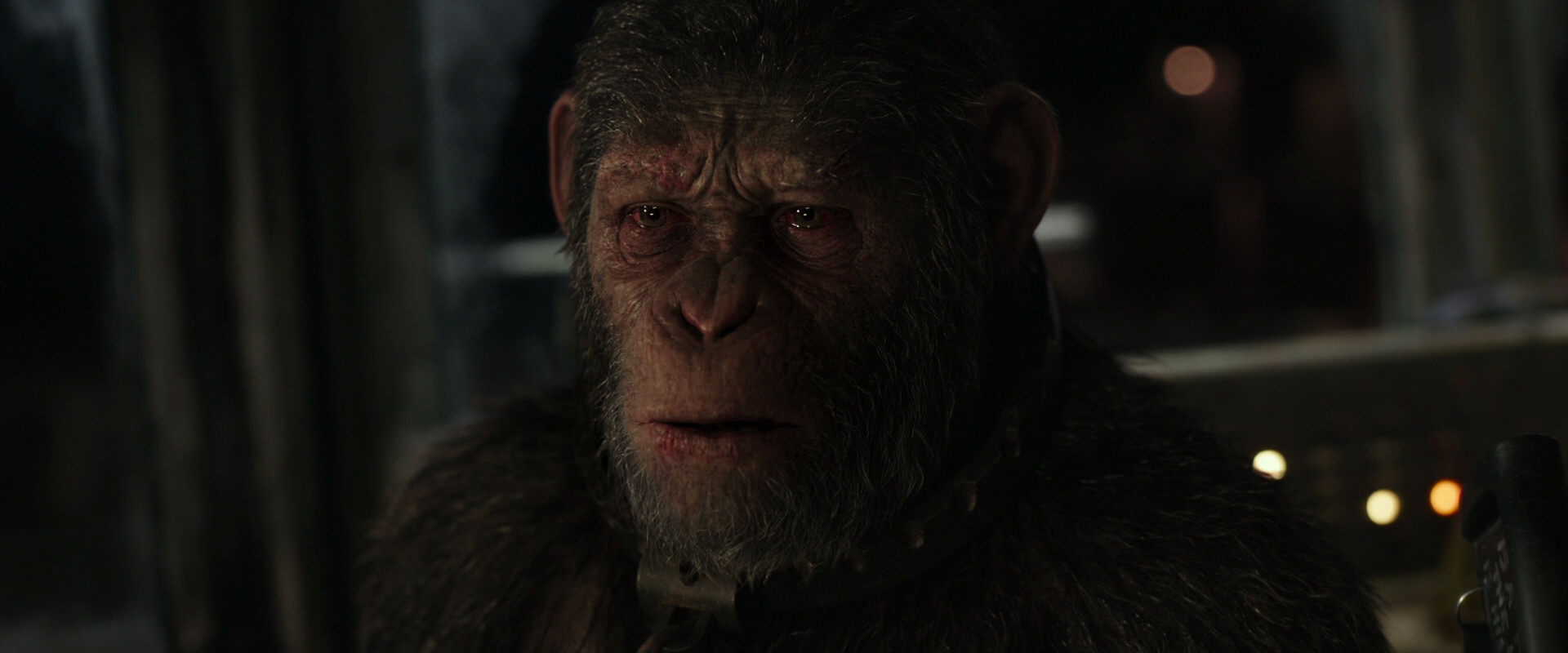War for the Planet of the Apes (2017) movie still 9697