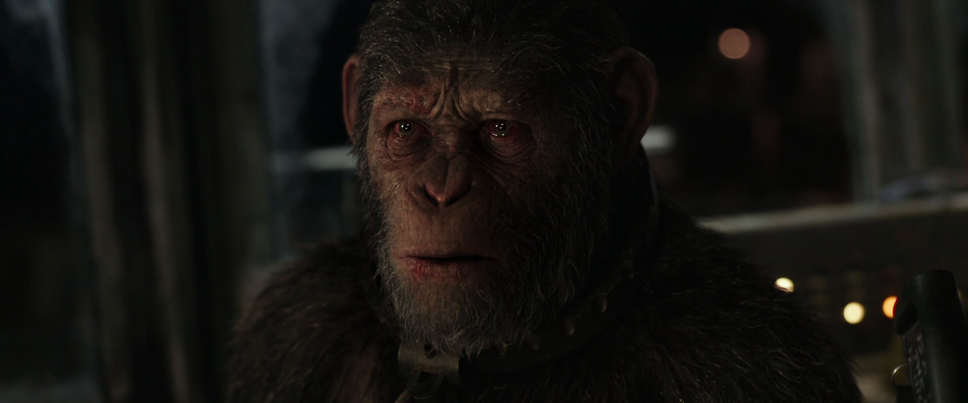 War for the Planet of the Apes (2017) screencap 9699