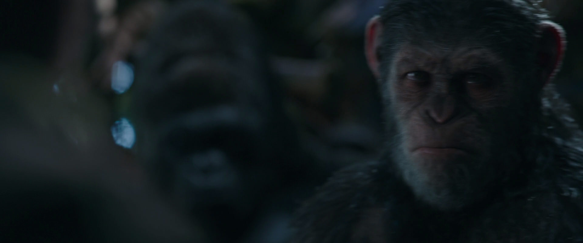 War for the Planet of the Apes (2017) movie still 970