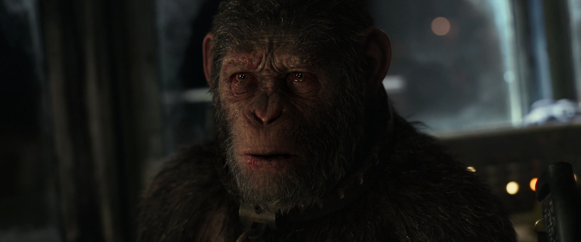 War for the Planet of the Apes (2017) screencap 9702